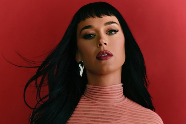 What Is Katy Perry Net Worth? His Earning Sources 2024