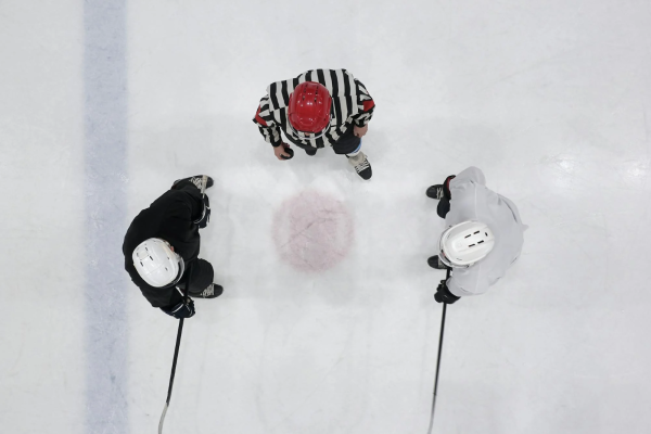 Reasons Why Home Ice Advantage Matters in The Stanley Cup