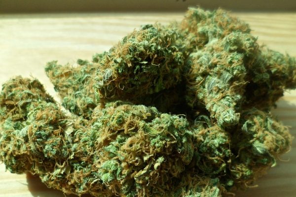 Understanding Medical Marijuana Card Restrictions