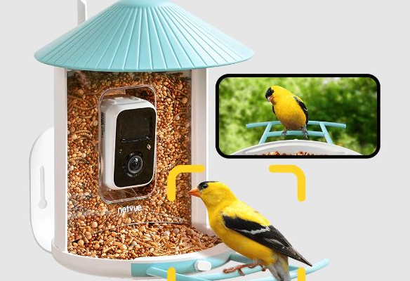 FAQs About A Bird Feeder With Camera