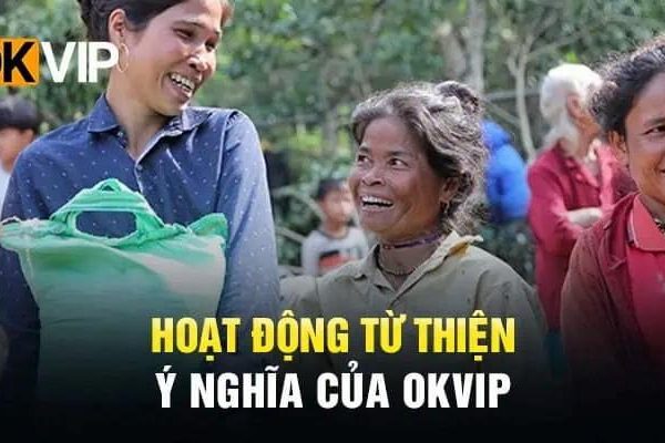 OKVIP Volunteering - Practical activities in 2024