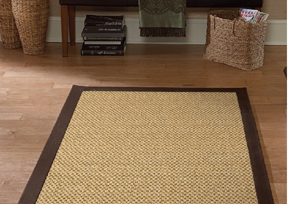 Transform Your Space with Sisal Carpets